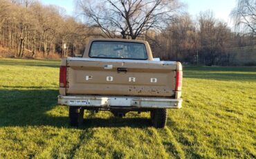Ford-f250-1984-brown-6