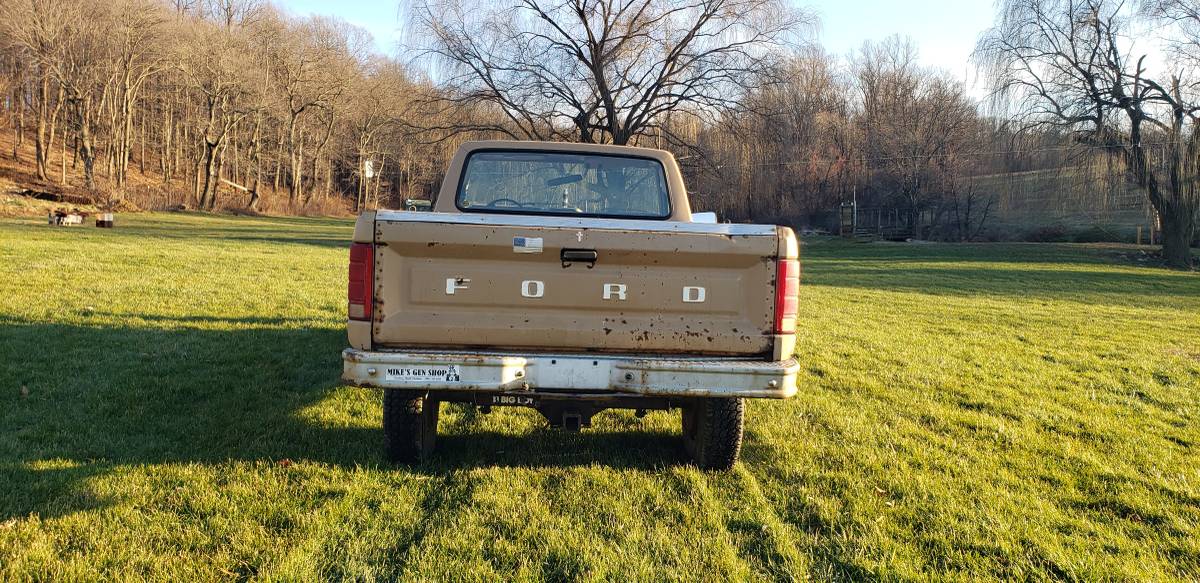 Ford-f250-1984-brown-6