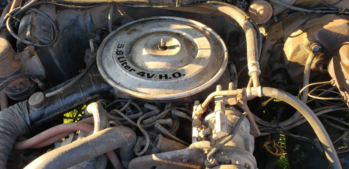 Ford-f250-1984-brown-7