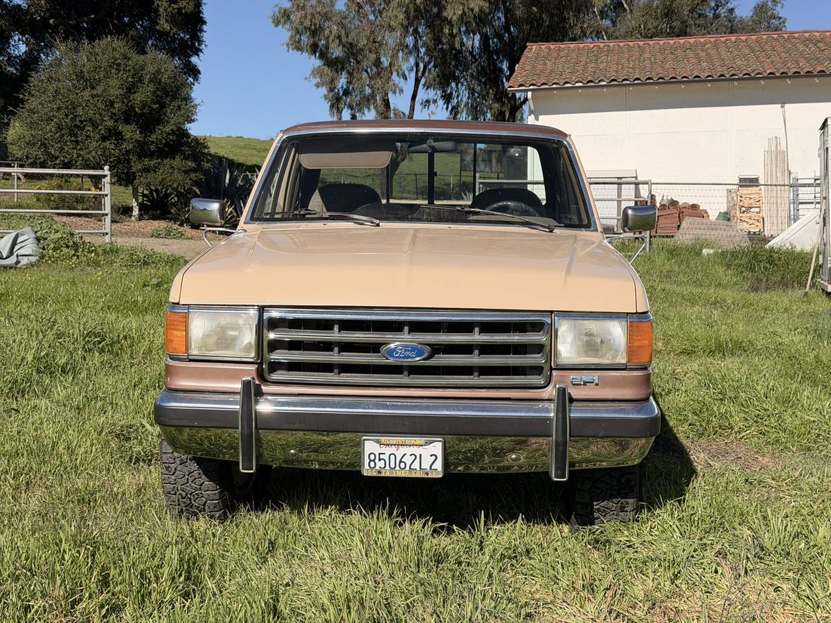Ford-f250-1990-brown-1