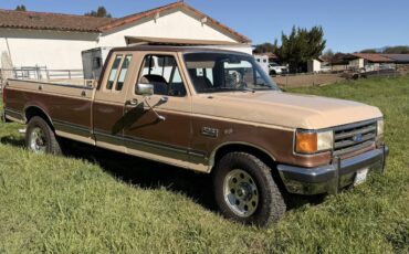 Ford-f250-1990-brown-2