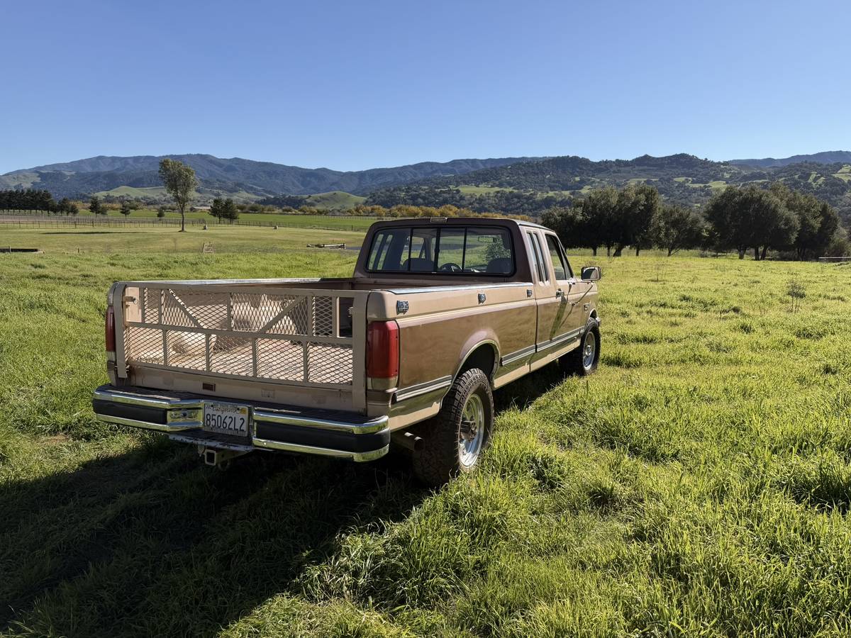 Ford-f250-1990-brown-3