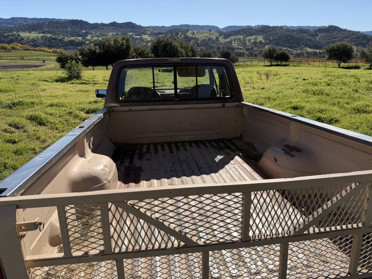 Ford-f250-1990-brown-7