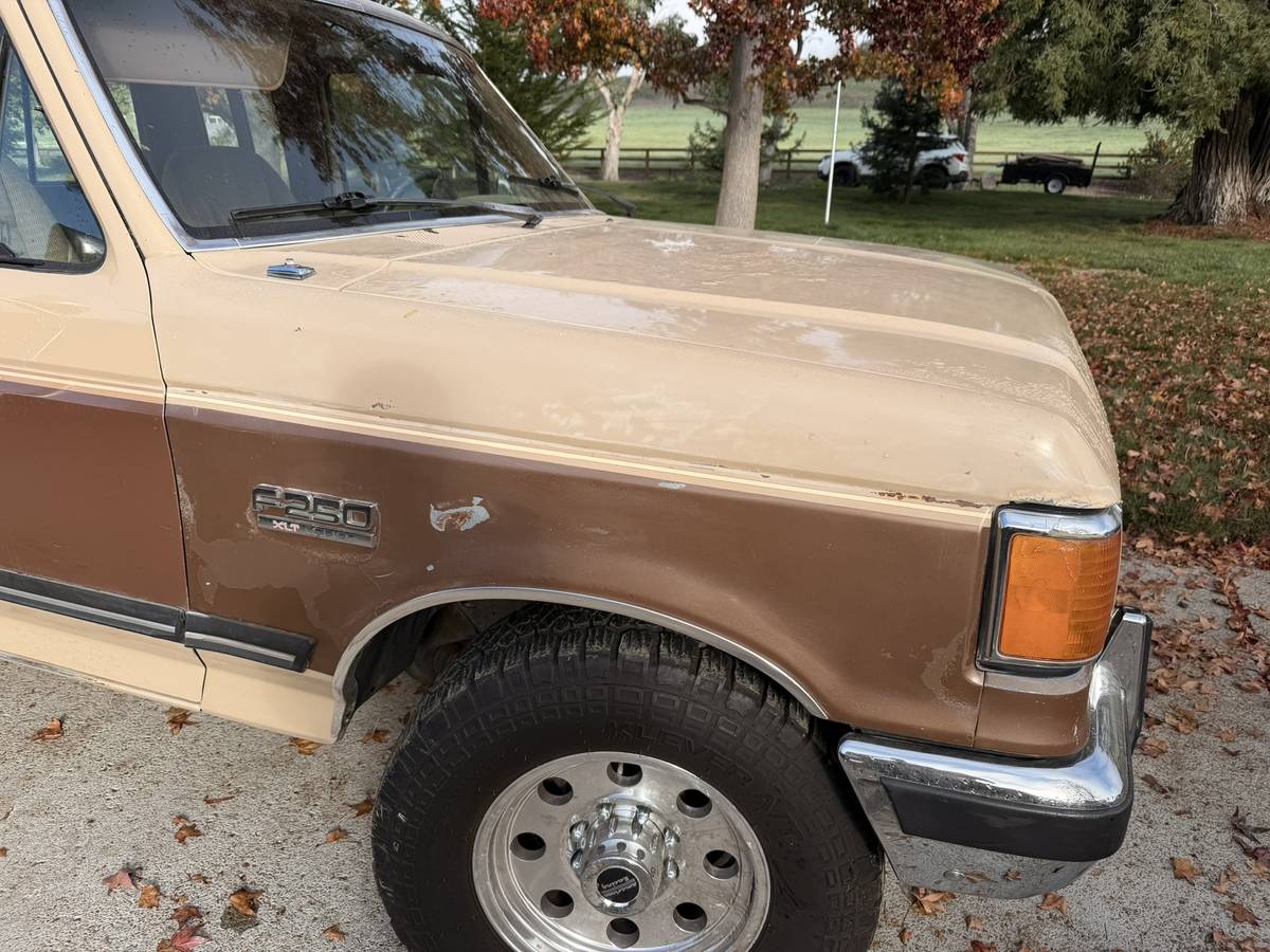 Ford-f250-1990-brown-8
