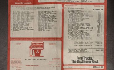 Ford-f250-1990-brown-9