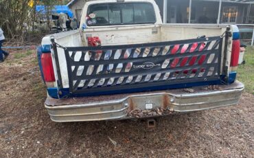 Ford-f350-diesel-1991-blue-10