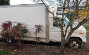 Ford-f350-dually-1986-white-1