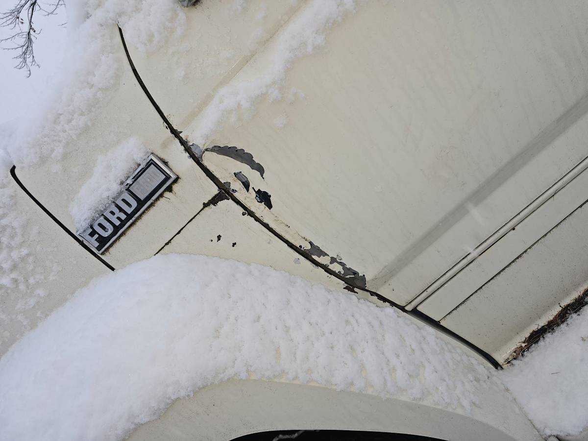 Ford-f600-1983-white-2