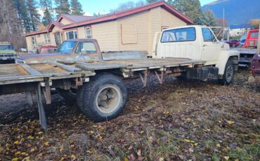 Ford-f600-1983-white-6