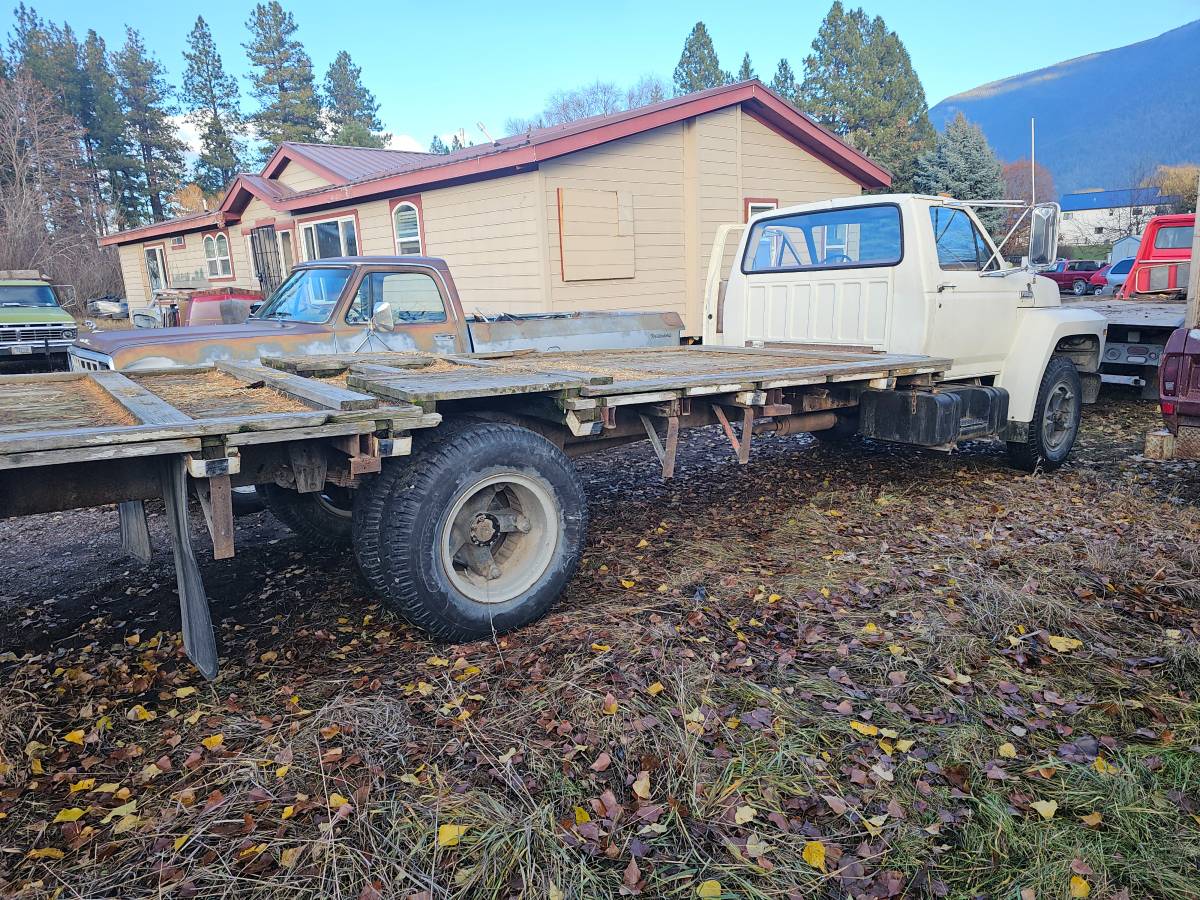 Ford-f600-1983-white-6