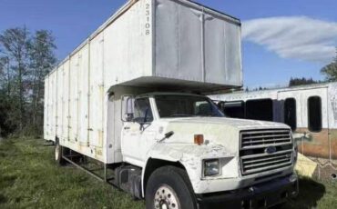 Ford-f700-diesel-1986-white-1