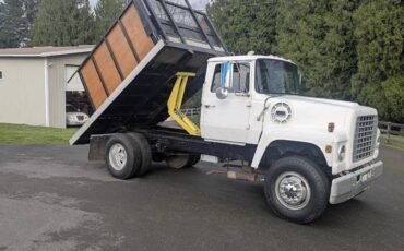 Ford-f800-1978-white-1