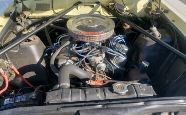 Ford-fairlane-500-1966-yellow-6