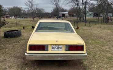 Ford-fairmont-1986-6