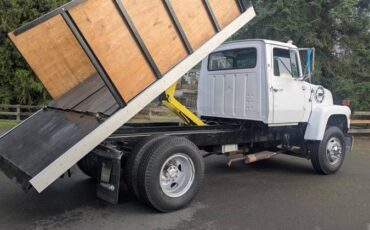 Ford-hd800-1978-white-2