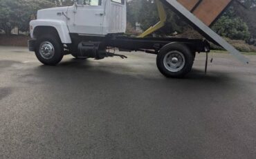 Ford-hd800-1978-white-3