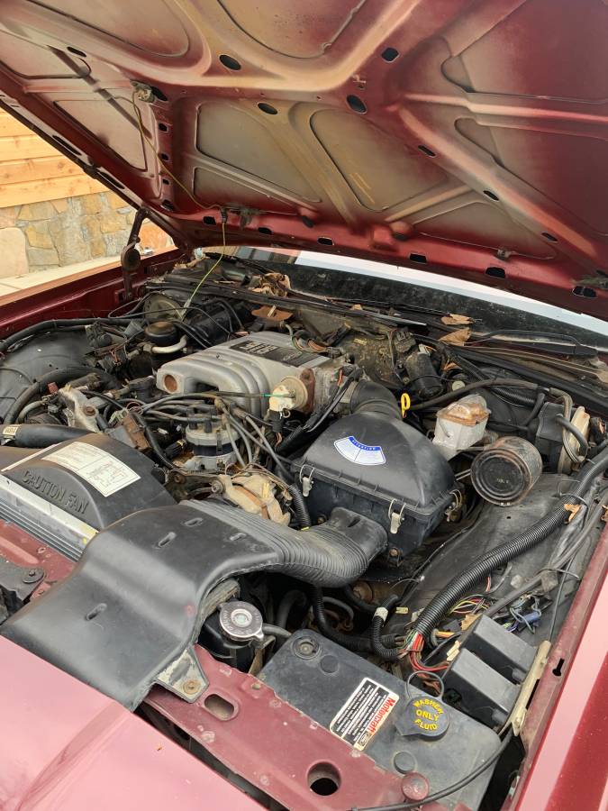 Ford-ltd-crown-victoria-1987-red-14