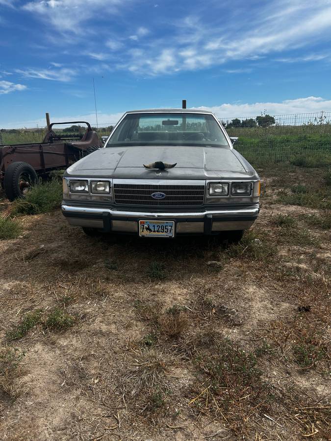 Ford-ltd-crown-victoria-1991-grey-3
