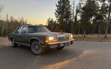 Ford-ltd-crown-victoria-1991-grey-9