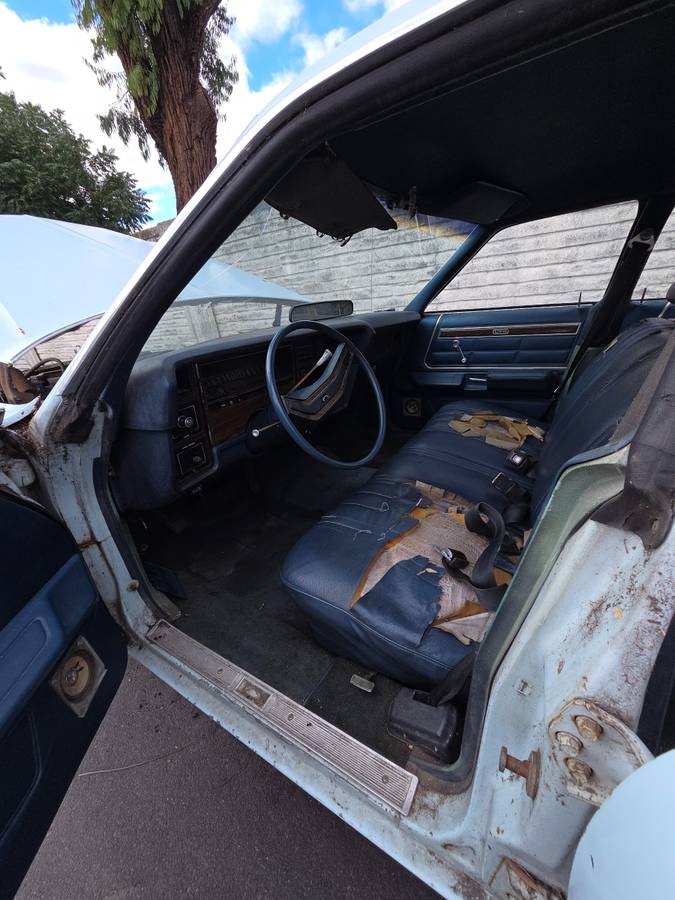 Ford-ltd-stationwagon-1975-blue-13