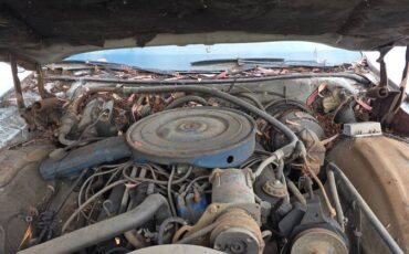 Ford-ltd-stationwagon-1975-blue-2