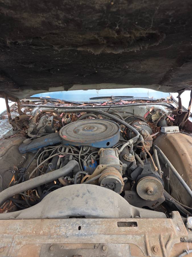 Ford-ltd-stationwagon-1975-blue-2