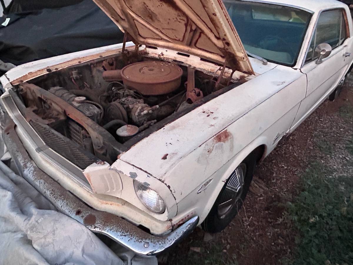 Ford-mustang-1966-white-3