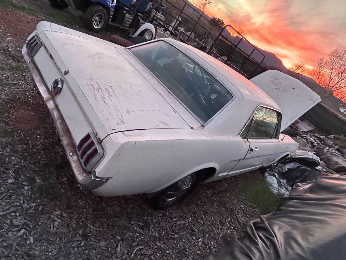 Ford-mustang-1966-white