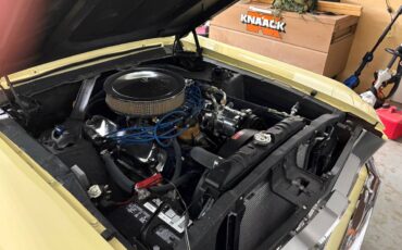 Ford-mustang-1967-yellow-5