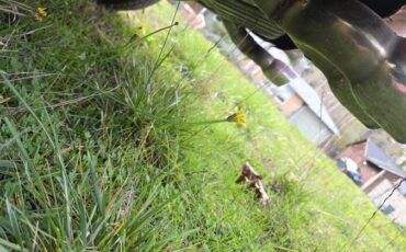 Ford-mustang-1969-red-10