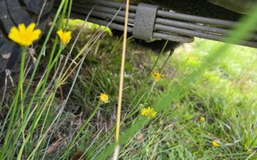 Ford-mustang-1969-red-9