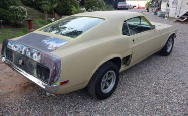 Ford-mustang-boss-302-1970-12