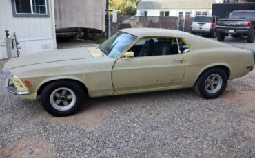 Ford-mustang-boss-302-1970-14