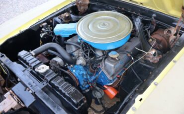 Ford-mustang-boss-302-1970-18