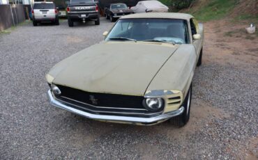 Ford-mustang-boss-302-1970-2