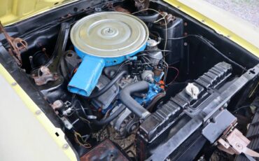 Ford-mustang-boss-302-1970-5
