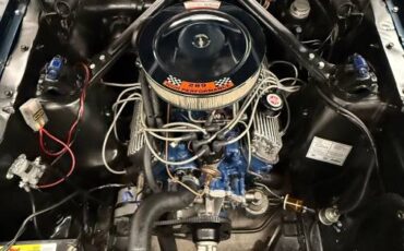 Ford-mustang-convertible-1965-19