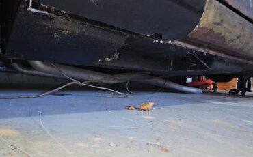 Ford-mustang-convertible-1965-8