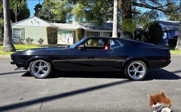 Ford-mustang-fastback-1971-1