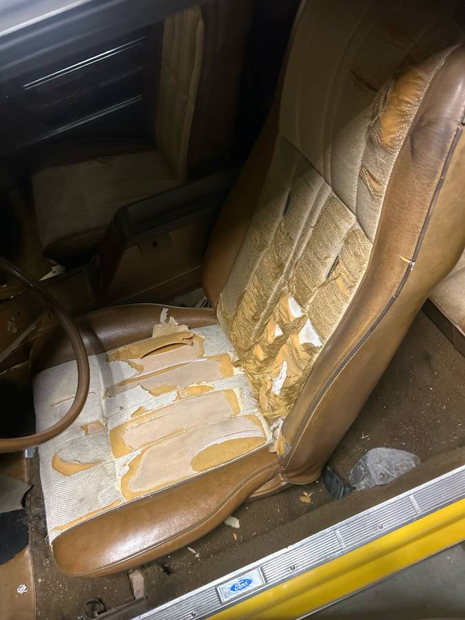 Ford-mustang-fastback-1972-yellow-6