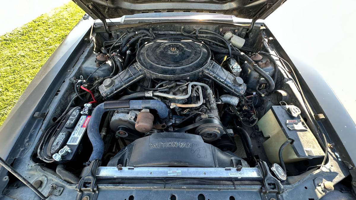 Ford-mustang-gt-1984-grey-9