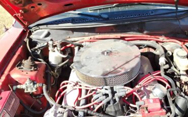 Ford-mustang-gt-cobra-svt-1994-red-1