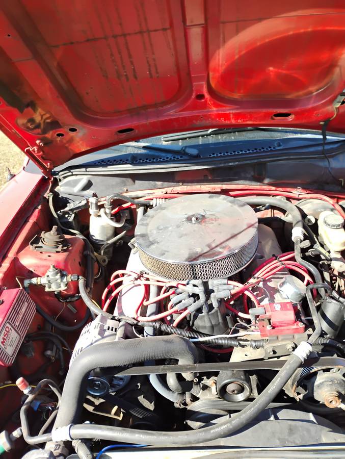 Ford-mustang-gt-cobra-svt-1994-red-1