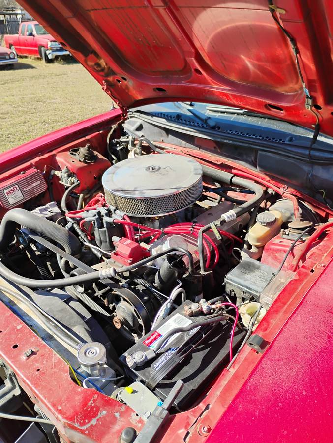 Ford-mustang-gt-cobra-svt-1994-red-3