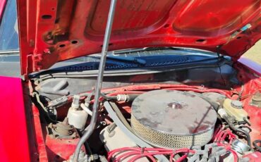 Ford-mustang-gt-cobra-svt-1994-red-5