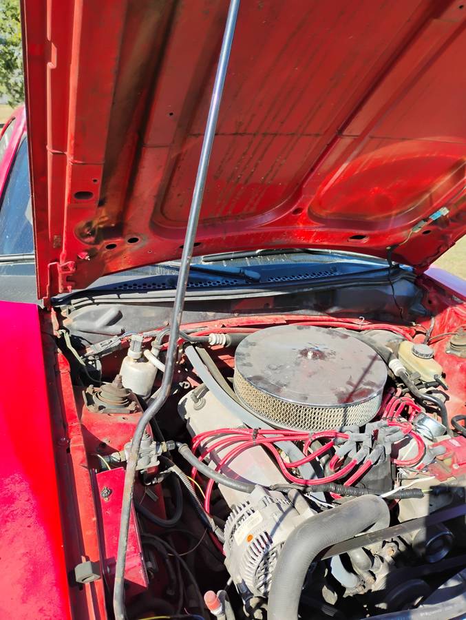 Ford-mustang-gt-cobra-svt-1994-red-5