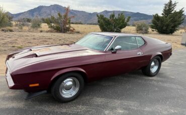 Ford-mustang-mach-1-1971-red-6