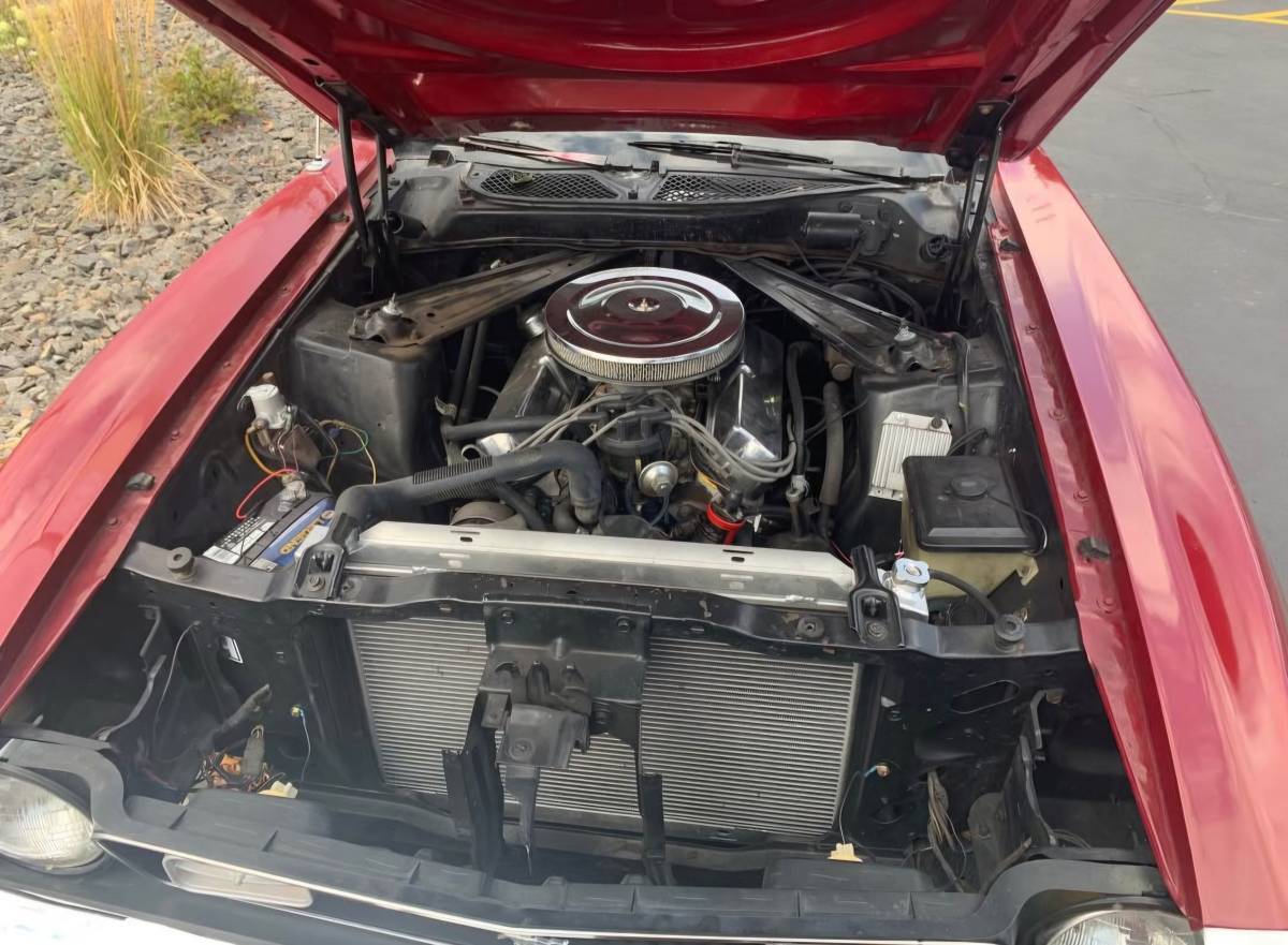 Ford-mustang-mach-1-1972-red-5