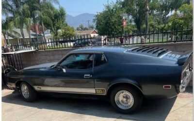 Ford mustang mach 1 fastback 1973