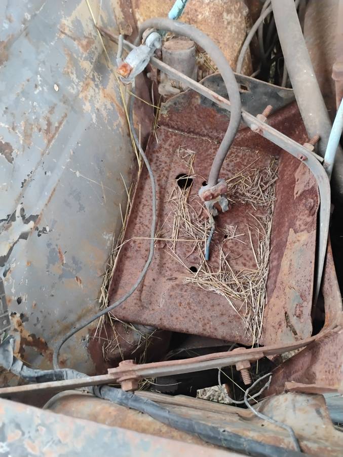 Ford-ranchero-1960-white-8